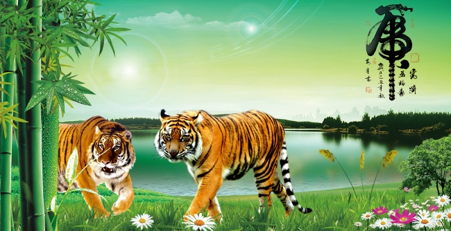 2024年2月4日立春特吉生肖 今日生肖小运播报