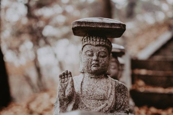 2023年农历腊月十三属什么生肖 了解今日属兔人运势