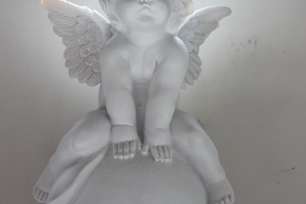 属鼠和老虎婚姻能配吗 鼠虎的婚姻建议