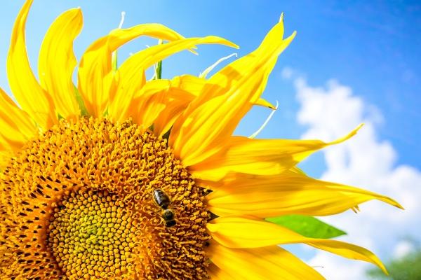 梦到了多个老婆什么预兆