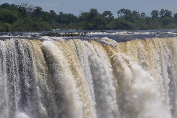 什么属相跟属鸡的不合 属鸡人不合的生肖