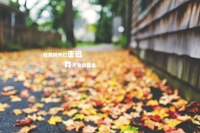 12生肖2024年大年初八打麻将方位查询坐哪里赢翻