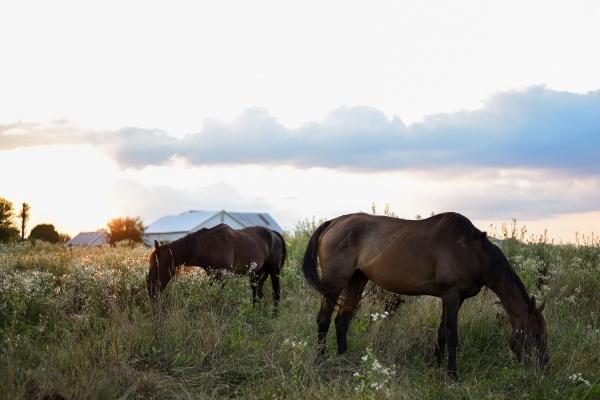 注定是富婆命的三大生肖女 几月出生的女性大富大贵