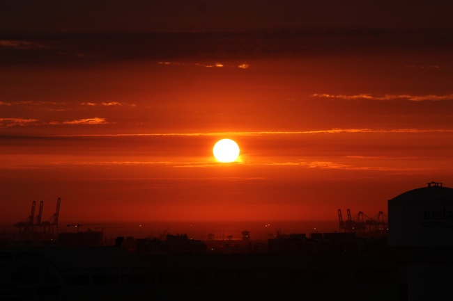 2024年走大运的生肖有哪些 2024年大运来临的生肖