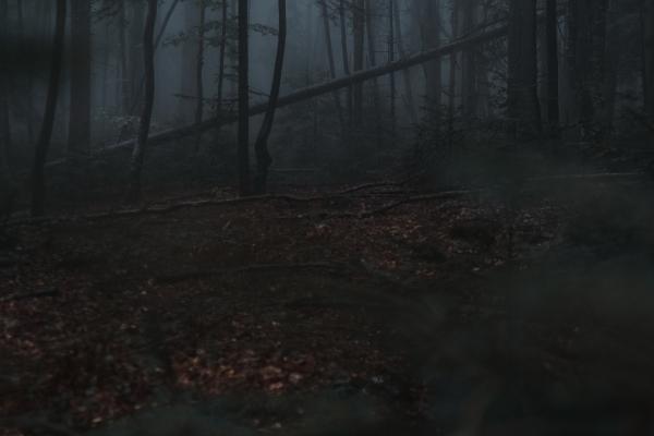 2024年犯太岁哪些地方不能去 不宜踏足之地有哪些