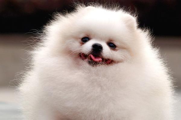 2024年犯太岁不能做哪些事 避免参与纠纷