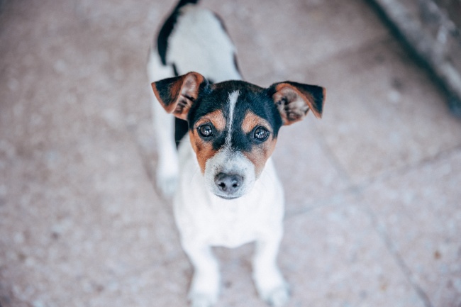 12生肖2024年正月十三打牌打麻将最佳财神方位