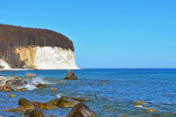 第一运程 2024年2月12日十二生肖运势解析