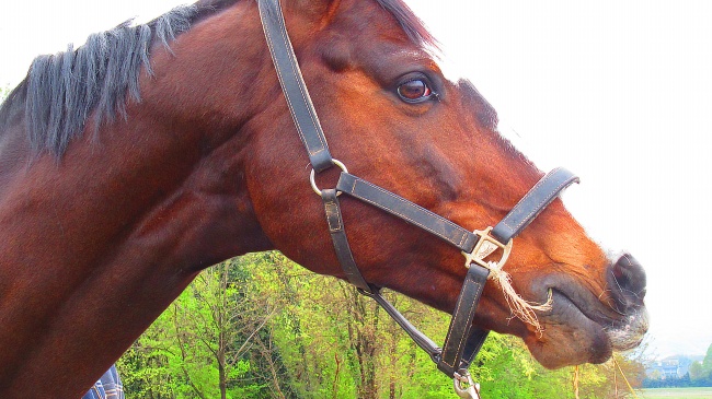 2024年夫妻一同犯太岁如何化解 洁身自好佩戴红绳