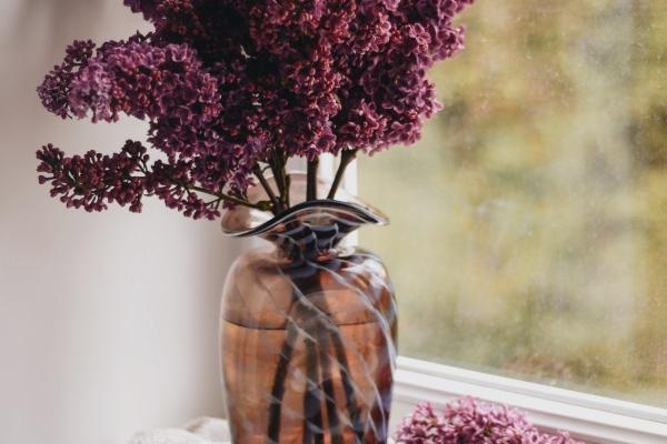 2024年属羊运势1979 整体运势比较一般