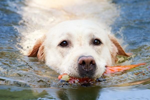 犯太岁佩戴最好的饰品 红绳玉佩五帝钱