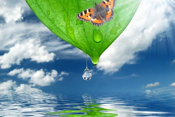 2024年大年初三十二生肖运势 运气最佳生肖是什么