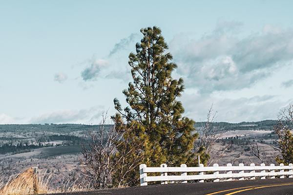 2024年自己怎么化解太岁 辞旧迎新化解太岁