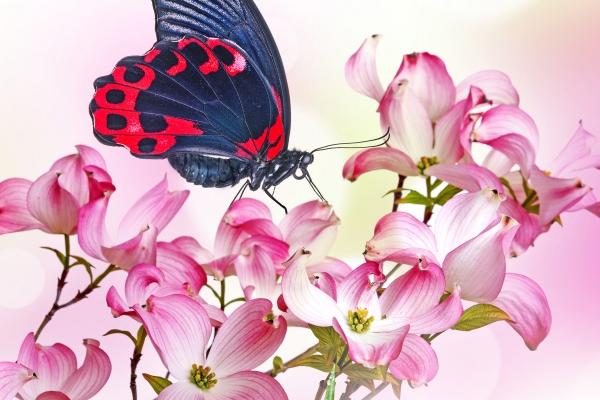 1990属马女哪年能添丁 属马女命里有儿子吗