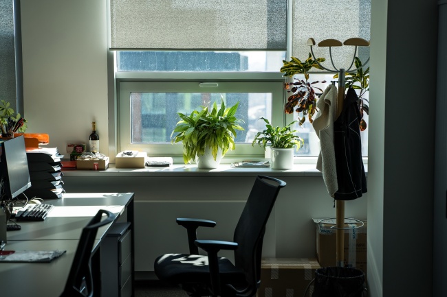 90属马婚姻与命运如何 90年属马命中注定的另一半