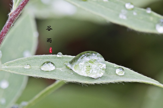 梦到去世的人生孩子是什么兆头