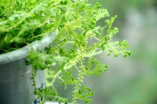 梦见丈夫做饭会是什么预兆