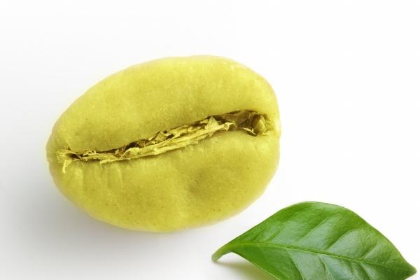 2024年属羊人的全年运势如何 属羊人2024年全年运势详解