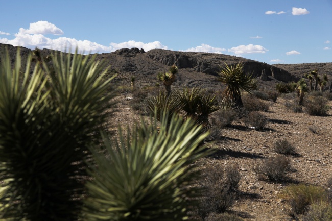 2024年属马的运势怎么样 属马人龙年运势