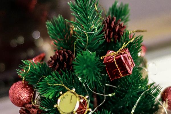 鼠2024年运势及运程每月运程 属鼠人2024年每月运势