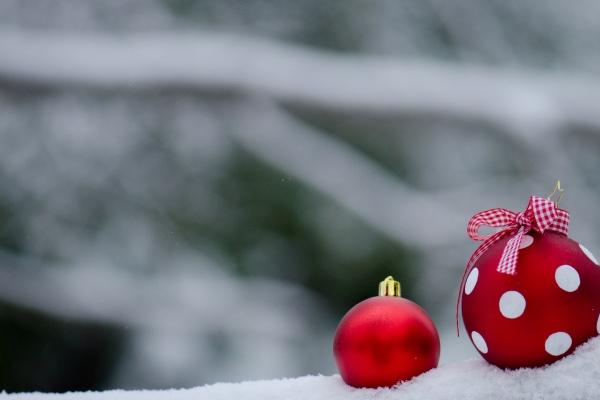 属马2024年运势大全 属马2024年运势好不好