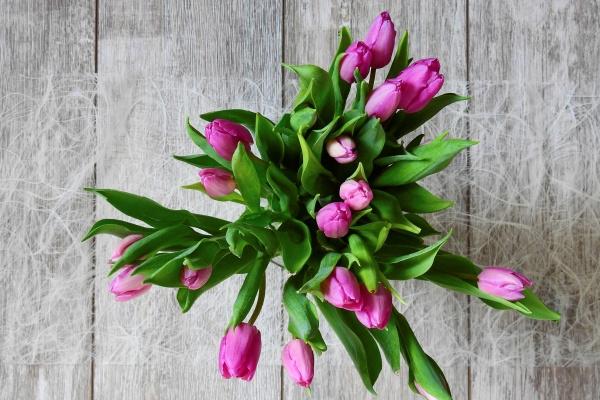 为何龙年新生儿众多？龙宝宝有何特别之处？