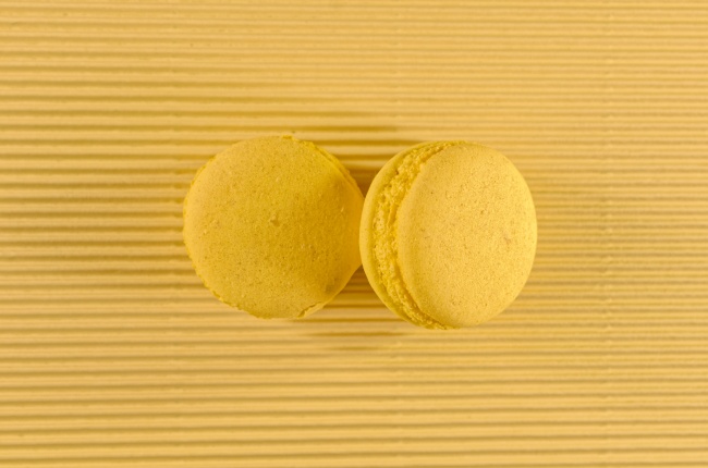 1982年属狗2024年运势 2024年属狗1982年运势