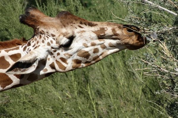 2024年好运连连，下半年财富滚滚，四大生肖五一开启“财富之门”，红运当头