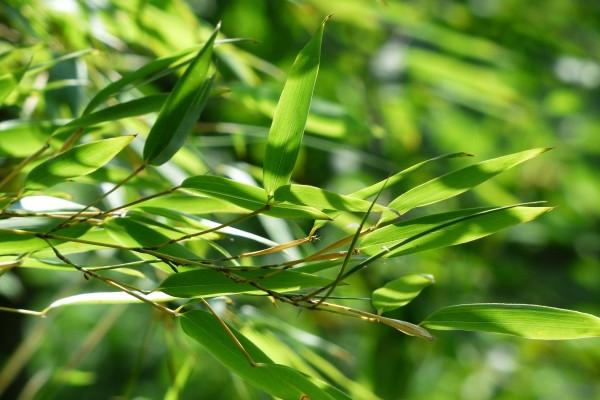 1997年属牛住哪个楼层最佳 居住楼层选择事项