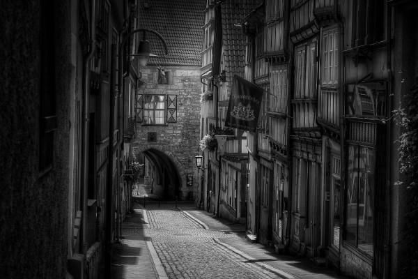 马和猴的生肖婚姻是否般配？原因有这些