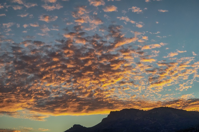 78的马2024运气如何 78年马什么时候能走大运