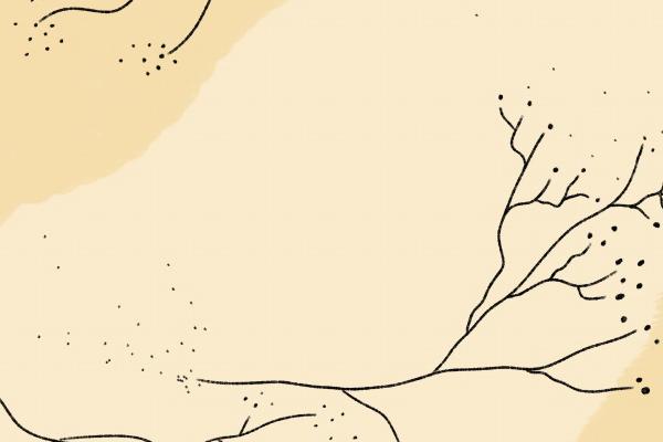 让人不敢惹的生肖女,强势气场无人能敌