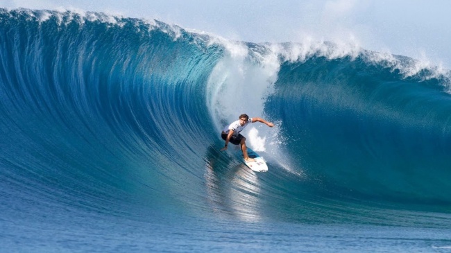 2024年属蛇的运势和财运如何 属蛇2024年运程及运势详解