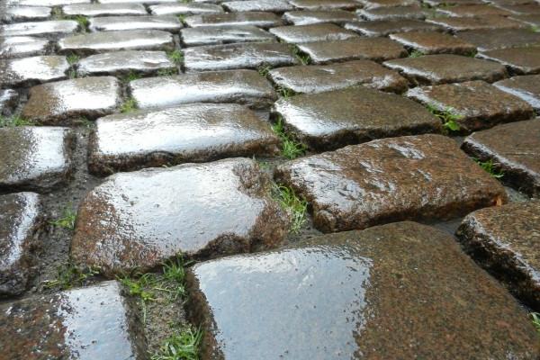 第一运程 2024年5月30日十二生肖运势解析