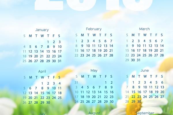 生肖猴2024有喜事吗 事业鹏发家庭幸福