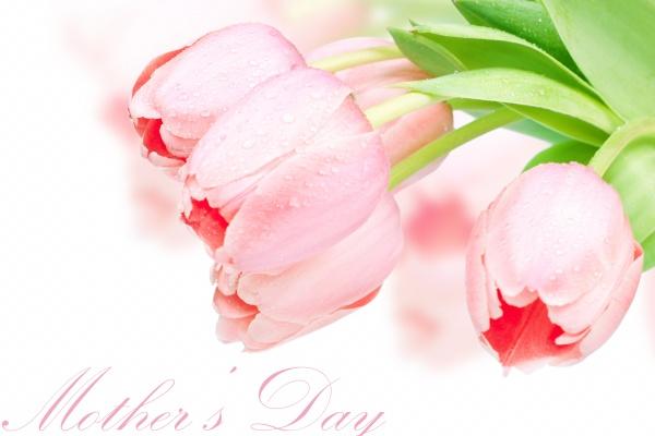 一生是聪明绝顶的生肖女 智商高的生肖