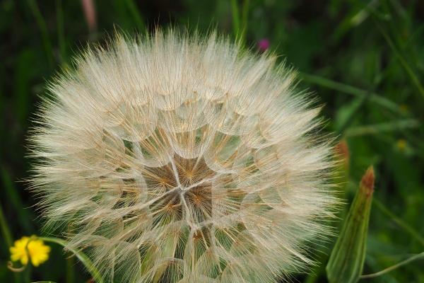 愚蠢至极的生肖女，谁的表现最让人失望