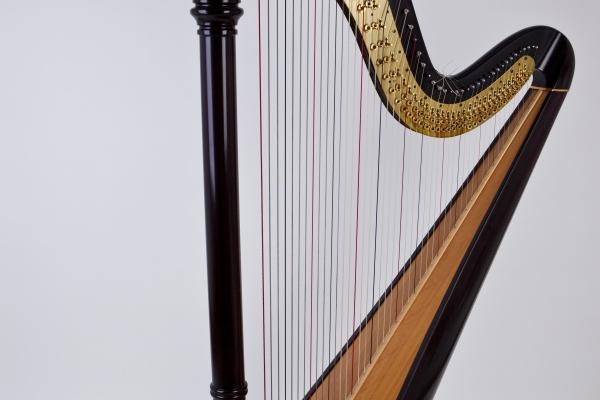 生肖蛇2024年运气如何 属蛇运势龙年好