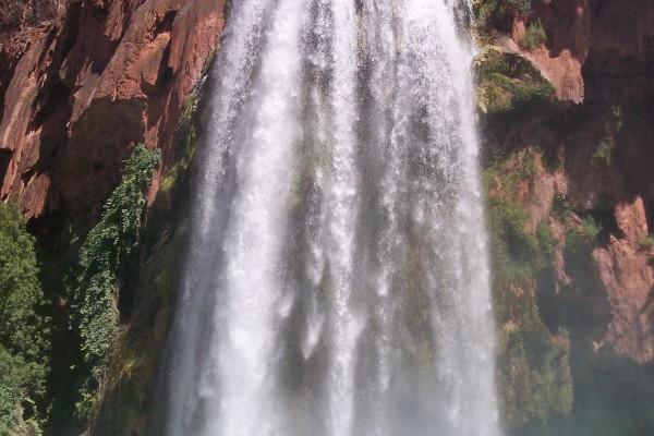 属虎2024年全年运势运程 生肖虎2024年运势及运程