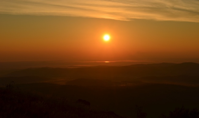 8月烂桃花最多的生肖2024年 这三个生肖会陷入感情纠纷