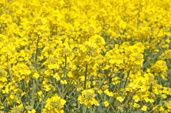 2024年很多人换大运 2024年换大运的生肖