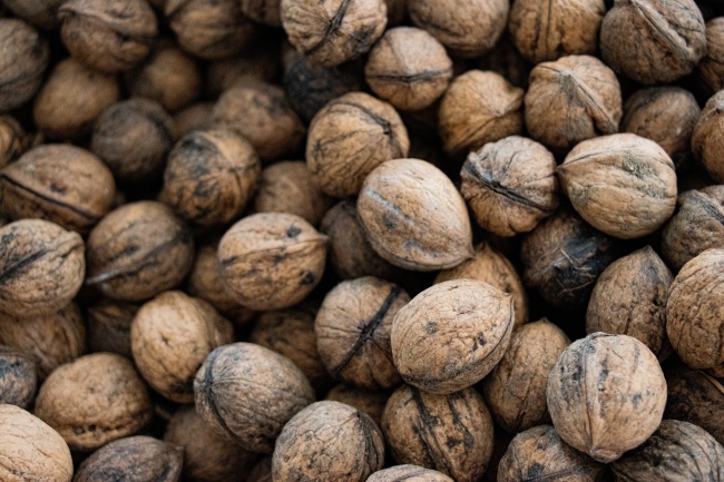 83年猪与86年虎属相是否相合，爱情如何发展？