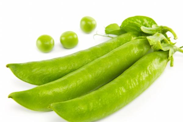 属相相冲一览 2024年5月24日冲什么属什么生肖