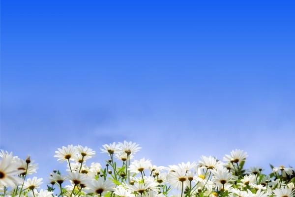 属猴男和属猪女的婚配怎样 属猪女和属猴男相配吗