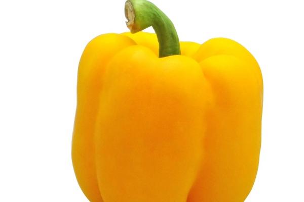 1996年属鼠的女人婚配 96年属鼠女最佳婚配表