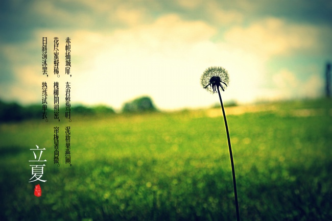 2024年福气满满的生肖 运势好的属相2024