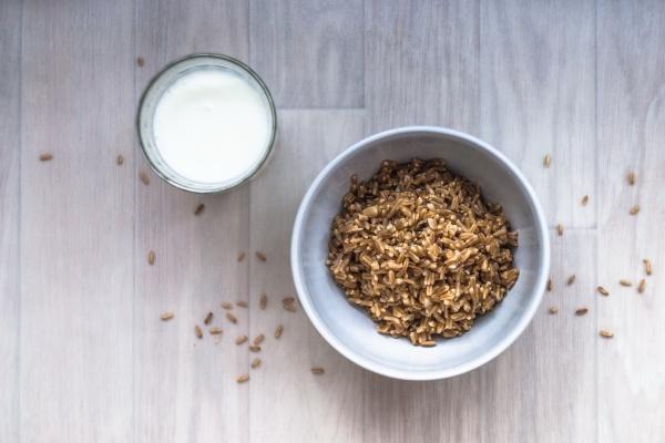 属猪与属鼠婚配好不好 属猪和属鼠的合不合