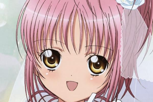 2024年的火爆的生肖 运势好的生肖