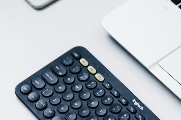 87年兔2024年的运势 2024年1987属兔人的全年运势