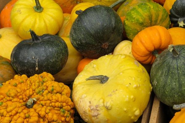 96年女属鼠的婚姻 1996年女属鼠的人婚配